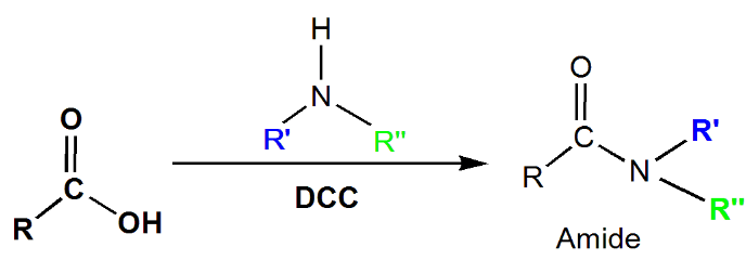 Carboxylic Acid Reactions: Understanding the Transformations and Mechanisms | Organic Chemistry for MCAT