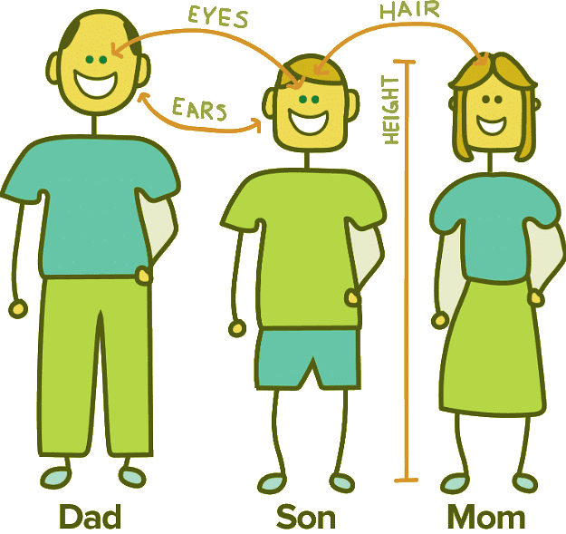 Genes, Environment & Behavior | Psychology and Sociology for MCAT
