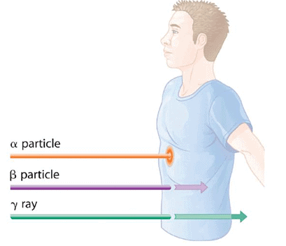 Biological Effects of Radiation | Chemistry for ACT