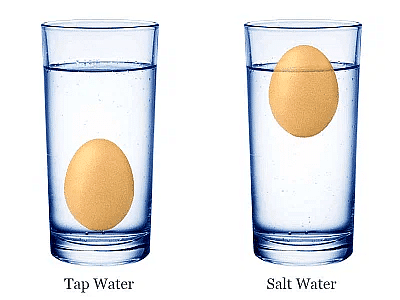 Top 5 Science Projects For Middle School | DIY Science Fun: Cool School Projects - Class 6