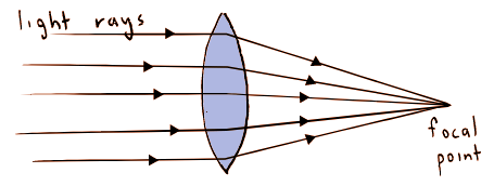 Thin Lenses | Physics for MCAT
