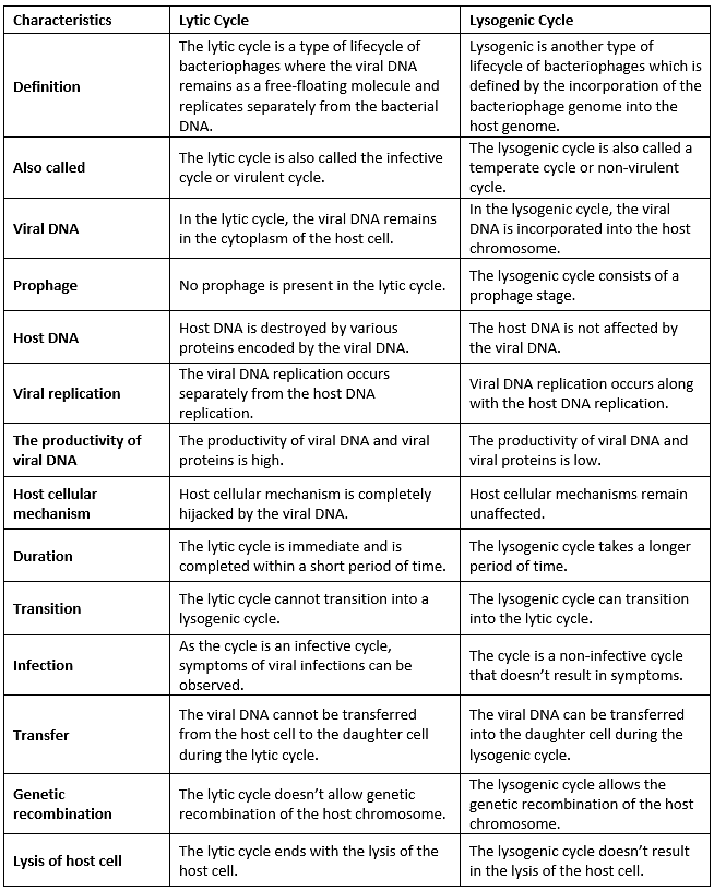 Bacteriophage | Biology and Biochemistry for MCAT