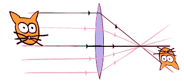 Thin Lenses | Physics for MCAT