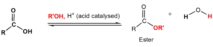 Carboxylic Acid Reactions: Understanding the Transformations and Mechanisms | Organic Chemistry for MCAT