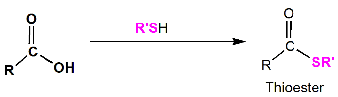 Carboxylic Acid Reactions: Understanding the Transformations and Mechanisms | Organic Chemistry for MCAT