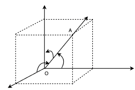 Direction Cosines and Direction Ratios | The Complete SAT Course - Class 10