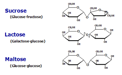 Carbohydrates- Monosaccharides, Disaccharides, Polysaccharides | Biology and Biochemistry for MCAT