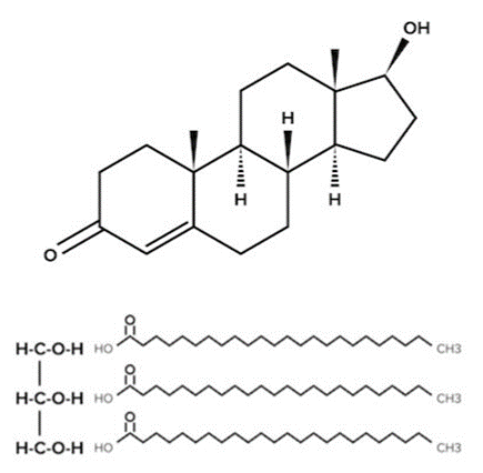 Testosterone and a Triglyceride