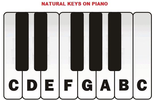 Worksheet Solutions: Introduction to Piano | Piano Tutorials Course: Beginners to Advance - Class 6