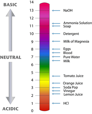 Acids and Bases | Chemistry for ACT