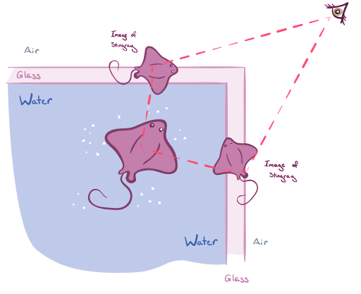 Reflection and Refraction | Physics for MCAT