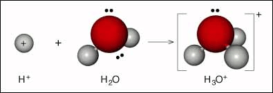 Acids and Bases | Chemistry for ACT