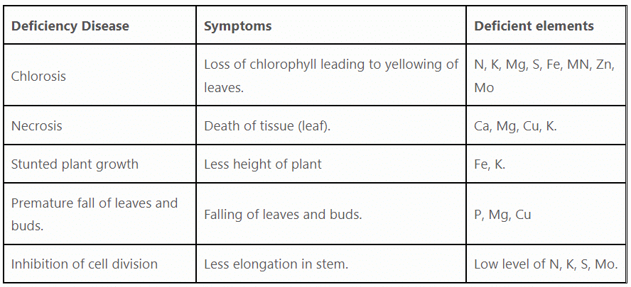 Mineral Nutrition Chapter Notes | Biology for ACT