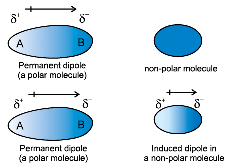 States of Matter - 1 | Chemistry for ACT