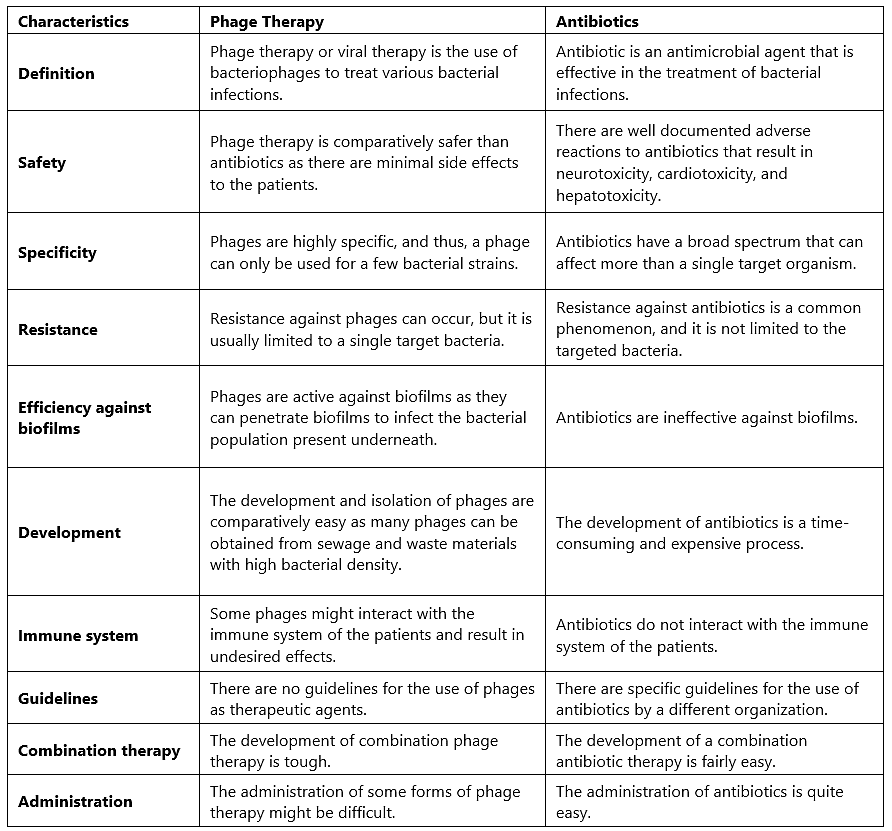 Bacteriophage | Biology and Biochemistry for MCAT