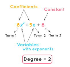 Polynomial Expressions | The Complete SAT Course - Class 10