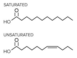 An Example of a Saturated and Unsaturated Fatty Acid.