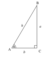 Sine, Cosine and Tangent Basics | The Complete SAT Course - Class 10