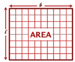 How to convert units of Length, Area and Volume? | The Complete SAT Course - Class 10