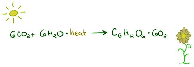 Endothermic vs. exothermic reactions | General Chemistry for MCAT