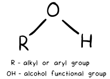 Unraveling the Intricate Process: Biological Oxidation of Alcohols | Organic Chemistry for MCAT