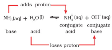 Acids and Bases | Chemistry for ACT