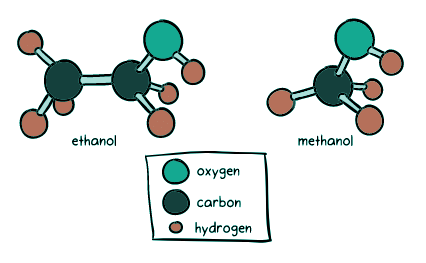 Unraveling the Intricate Process: Biological Oxidation of Alcohols | Organic Chemistry for MCAT
