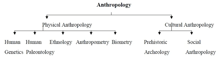 Anthropology: Meaning, Scope & Development | Anthropology Optional for UPSC