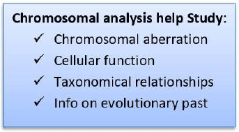 Cytogenetic Method (Chromosomal and karyo-Type Analysis) | Anthropology Optional for UPSC