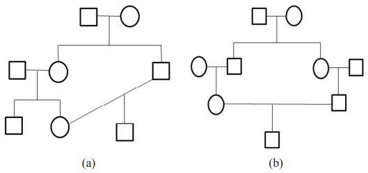 Consanguineous & Non Consanguineous Mating | Anthropology Optional for UPSC