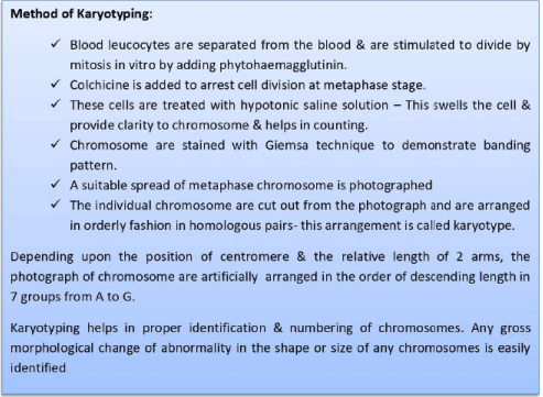 Cytogenetic Method (Chromosomal and karyo-Type Analysis) | Anthropology Optional for UPSC