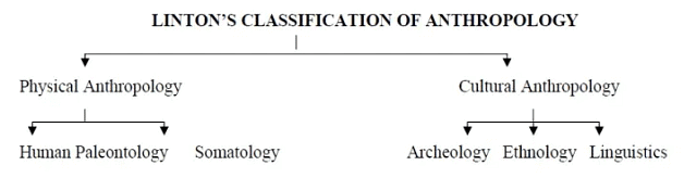 Anthropology: Meaning, Scope & Development | Anthropology Optional for UPSC