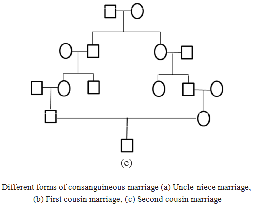 Consanguineous & Non Consanguineous Mating | Anthropology Optional for UPSC