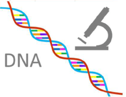Cytogenetic Method (Chromosomal and karyo-Type Analysis) | Anthropology Optional for UPSC
