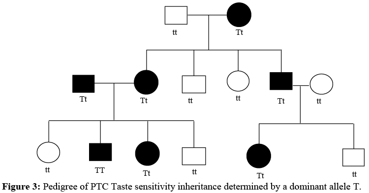 Pedigree Analysis | Anthropology Optional for UPSC