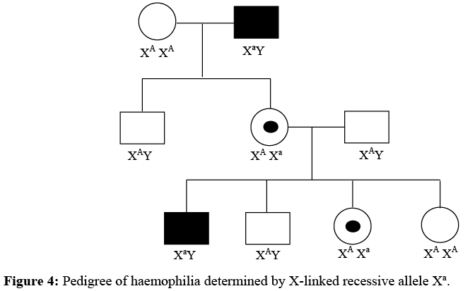 Pedigree Analysis | Anthropology Optional for UPSC