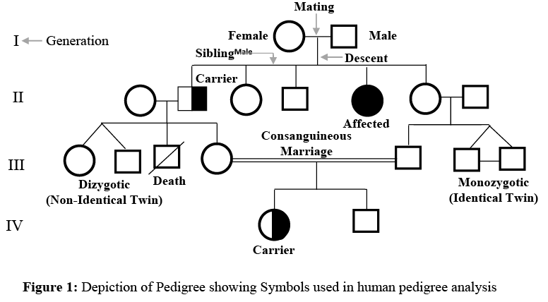Pedigree Analysis | Anthropology Optional for UPSC