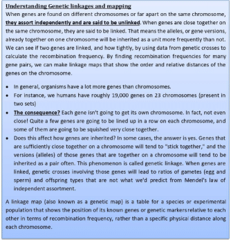 Cytogenetic Method (Chromosomal and karyo-Type Analysis) | Anthropology Optional for UPSC