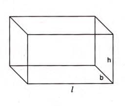 Solids Chapter Notes | Mathematics Class 9 ICSE