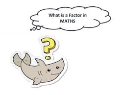 Integers | Year 8 Mathematics IGCSE (Cambridge)