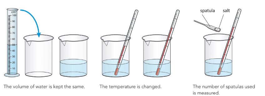 Properties of Materials Chapter Notes | Year 8 Science IGCSE (Cambridge)
