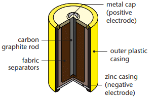 The inside of a cell