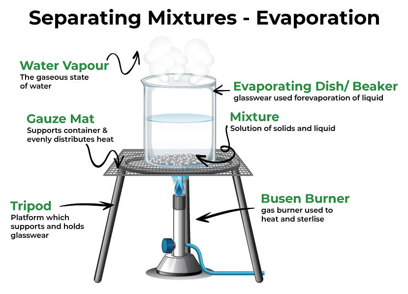Separation | Year 5 Science - Class 5