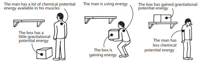 Energy Chapter Notes | Technical Science for Grade 10