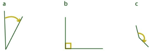 Compare and order angles | Year 5 Mathematics