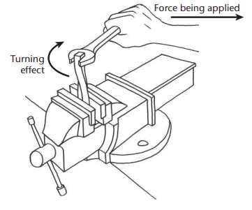 Forces Chapter Notes | Technical Science for Grade 10