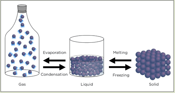 Dissolving Chapter Notes | Natural Science and Technology (Grade 6-A)