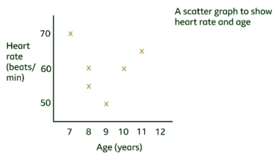 Recording and presenting data | Year 5 Science - Class 5