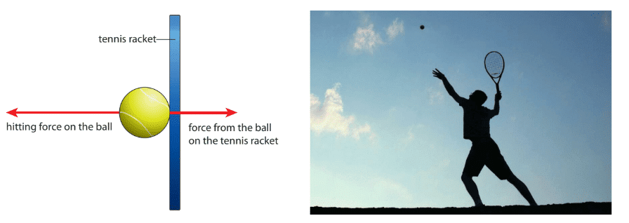 Forces and Energy Chapter Notes | Year 8 Science IGCSE (Cambridge) - Class 8