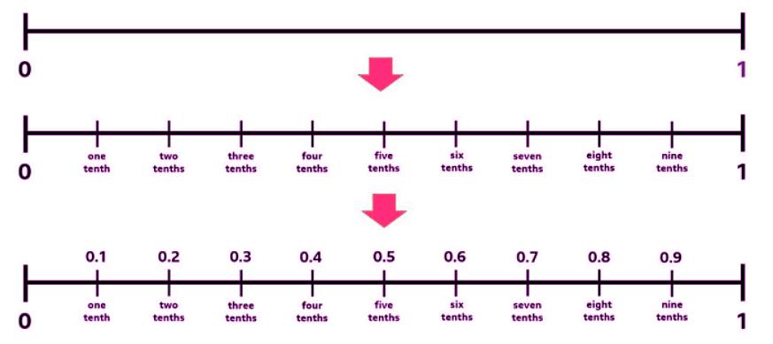 Equivalent decimals of halves and quarters | Year 4 Mathematics